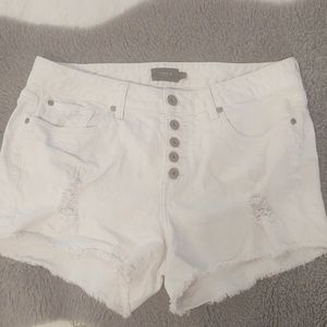 Torrid shorts